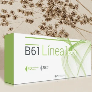 B61 LINEA 1 PLUS
