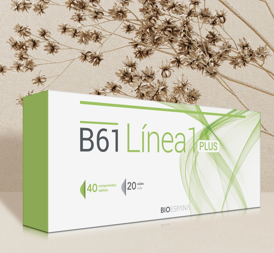 B61 LINEA 1 PLUS