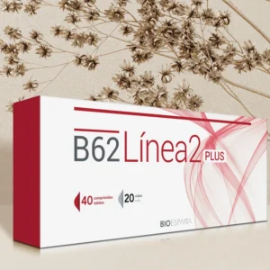 B62 LINEA 2 PLUS