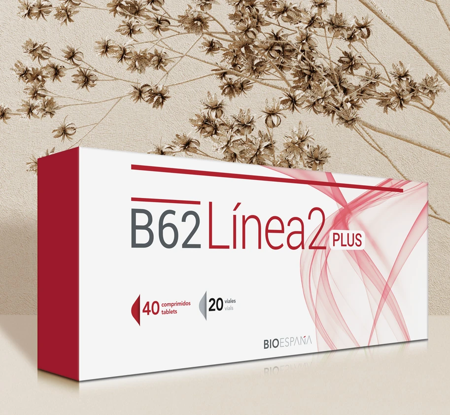 B62 LINEA 2 PLUS
