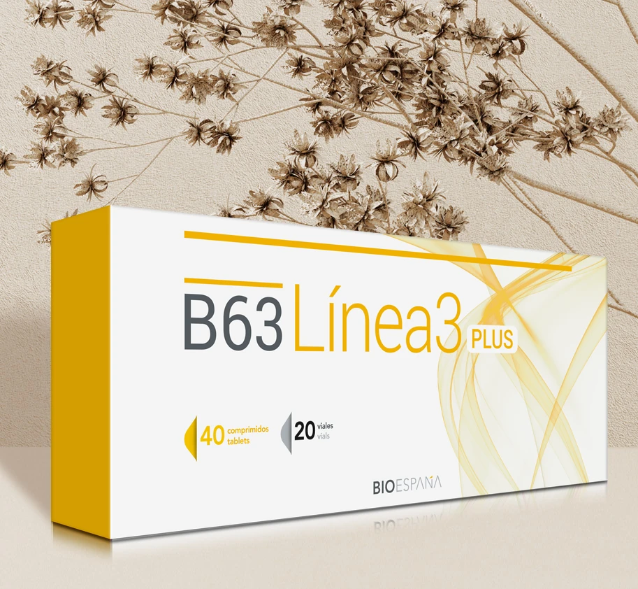 B63 LINEA 3 PLUS